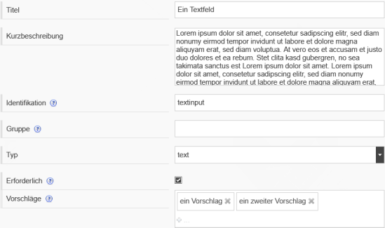Screenshot einer Beispielkonfiguration für ein Textfeld